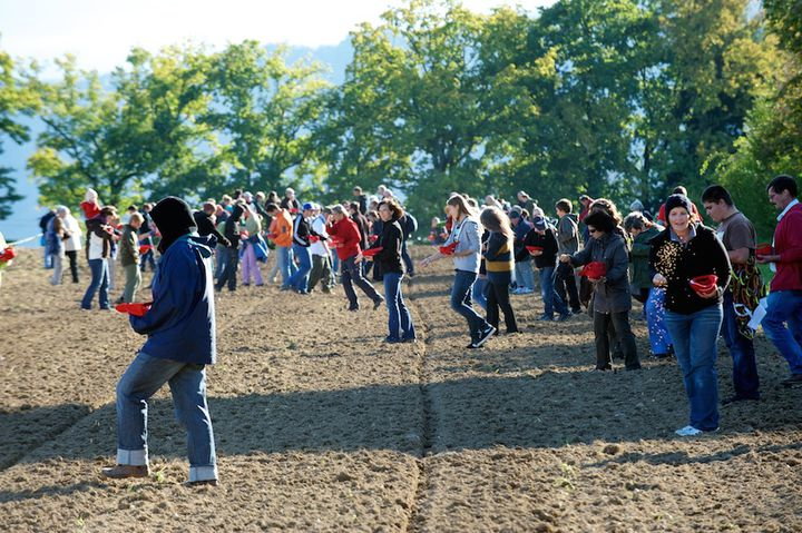 zukunft_saeen__brunnmatt_2011_kopie.jpg