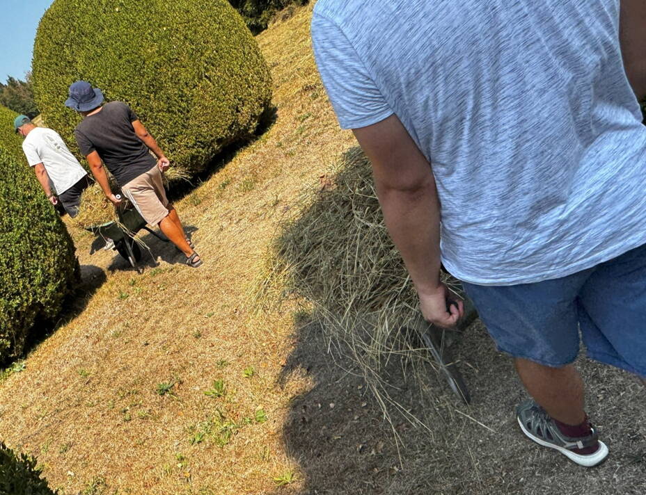 schubkarren_friedhof.jpg schubkarren_friedhof.jpg